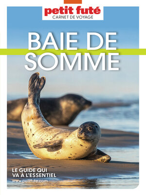 cover image of BAIE DE SOMME 2025 Carnet Petit Futé
